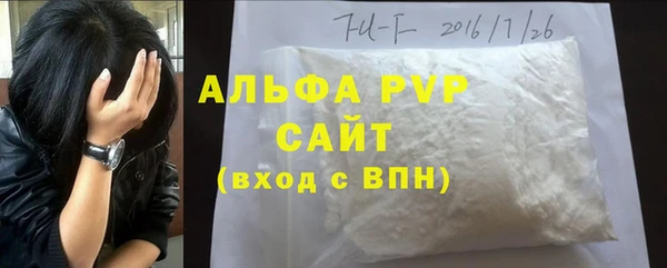 СК Михайлов
