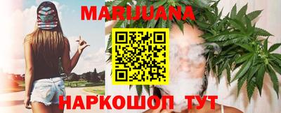 спайс Кингисепп