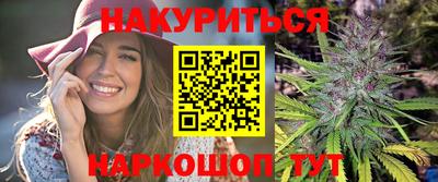 спайс Кингисепп