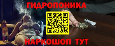 спайс Кингисепп