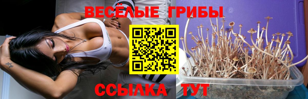 Галлюциногенные грибы ЛСД  Вход с VPN  Усть-Джегута  Галлюциногенные грибы прущие грибы 