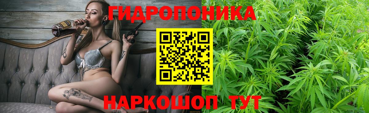 Бошки марихуана план  МАРИХУАНА гибрид  Усть-Джегута  Вход с VPN  Шишки марихуана Amnesia  Канабис Bruce Banner 
